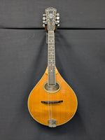 Weber Sound to Earth A-Style Mandolin (used)