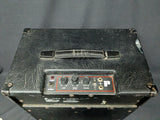 Polytone Mini Brute III (used)