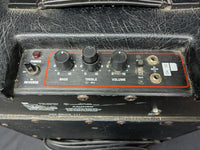 Polytone Mini Brute III (used)