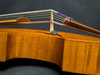 Charlie Ogle 7-String Viola d'Amore (used)