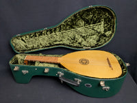 Daniel Larson Gamut 11-String Lute (used)