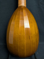 Daniel Larson Gamut 11-String Lute (used)