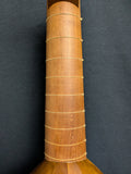 Daniel Larson Gamut 11-String Lute (used)