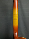 1970 Harmony 1310 Guitar (used)