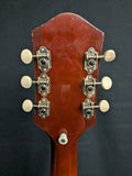 1970 Harmony 1310 Guitar (used)