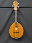 The Flatiron 1N Mandolin (used)