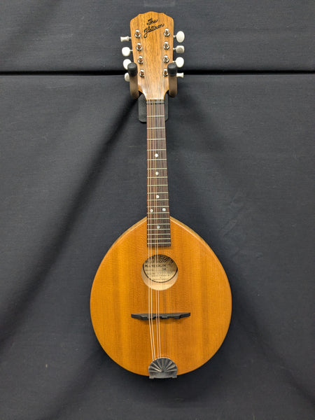 The Flatiron 1N Mandolin (used)