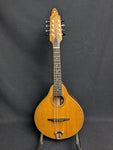 Richard Beard CM Mandolin (used)