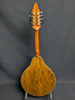 Richard Beard CM Mandolin (used)