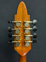 Richard Beard CM Mandolin (used)