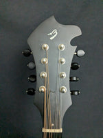 Breedlove American FO Mandolin (used)