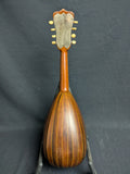 Washburn Bowl-back Mandolin Style 122 (used)