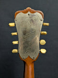 Washburn Bowl-back Mandolin Style 122 (used)