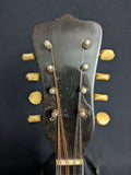 Washburn Bowl-back Mandolin Style 122 (used)