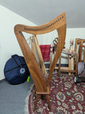 Dusty Strings FH26 Harp (used)