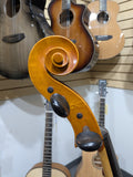 Eastman Gunter Maibach 4/4 Cello (used)