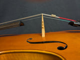 Eastman Gunter Maibach 4/4 Cello (used)