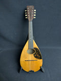 Oliver Ditson Bowl-back Mandolin (used)