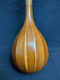 Persian Setar (used)