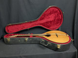 1999 W.A. Petersen Cittern (used)