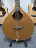 1999 W.A. Petersen Cittern (used)