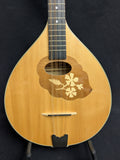 MusicinstrumentenFabrik Bouzouki (used)