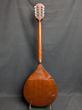 MusicinstrumentenFabrik Bouzouki (used)