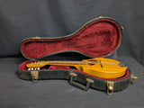 Seagull S8 Mandolin (used)
