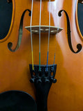 Strobel ML80 4/4 Size Violin (used)