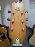 National Resophonic Resolectric Guitar (used)