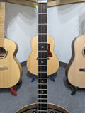 No Name Tenor Banjo ca. 1920s (used)