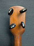 1870 5-String Fretless Banjo