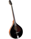 Trinity College TM-375B Bouzouki, Black top