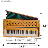 Musician's Mall Kirtan Deluxe Harmonium