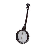 Deering Artisan Goodtime 19-fret Tenor Banjo