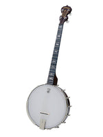 Deering Artisan Goodtime 19-fret Tenor Banjo