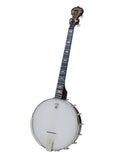 Deering Artisan Goodtime 19-fret Tenor Banjo