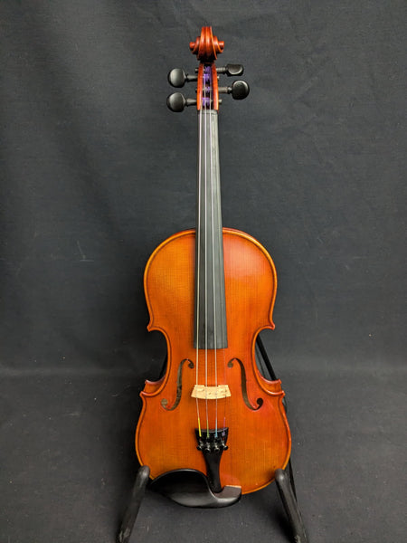 Violin Family Instruments In Stock – House of Musical Traditions