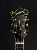 Gold Tone F-6+ Mando-Guitar 6-String Mandolin w/pickup, B-Stock