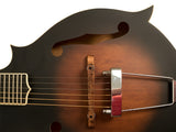 Gold Tone F-6 6-String F-Style Mandolin Guitar