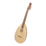 Roosebeck Lute-Guitar