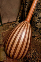 Roosebeck Lute-Guitar