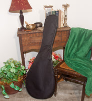 Roosebeck Lute-Guitar