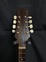 No-Name A-Style Mandolin w/gig bag (used)