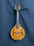 No-Name A-Style Mandolin w/gig bag (used)