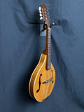 No-Name A-Style Mandolin w/gig bag (used)