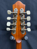 No-Name A-Style Mandolin w/gig bag (used)