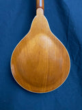 No-Name A-Style Mandolin w/gig bag (used)