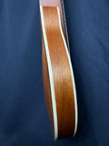 No-Name A-Style Mandolin w/gig bag (used)