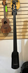NS Design WAV4c 4-String Omni Bass